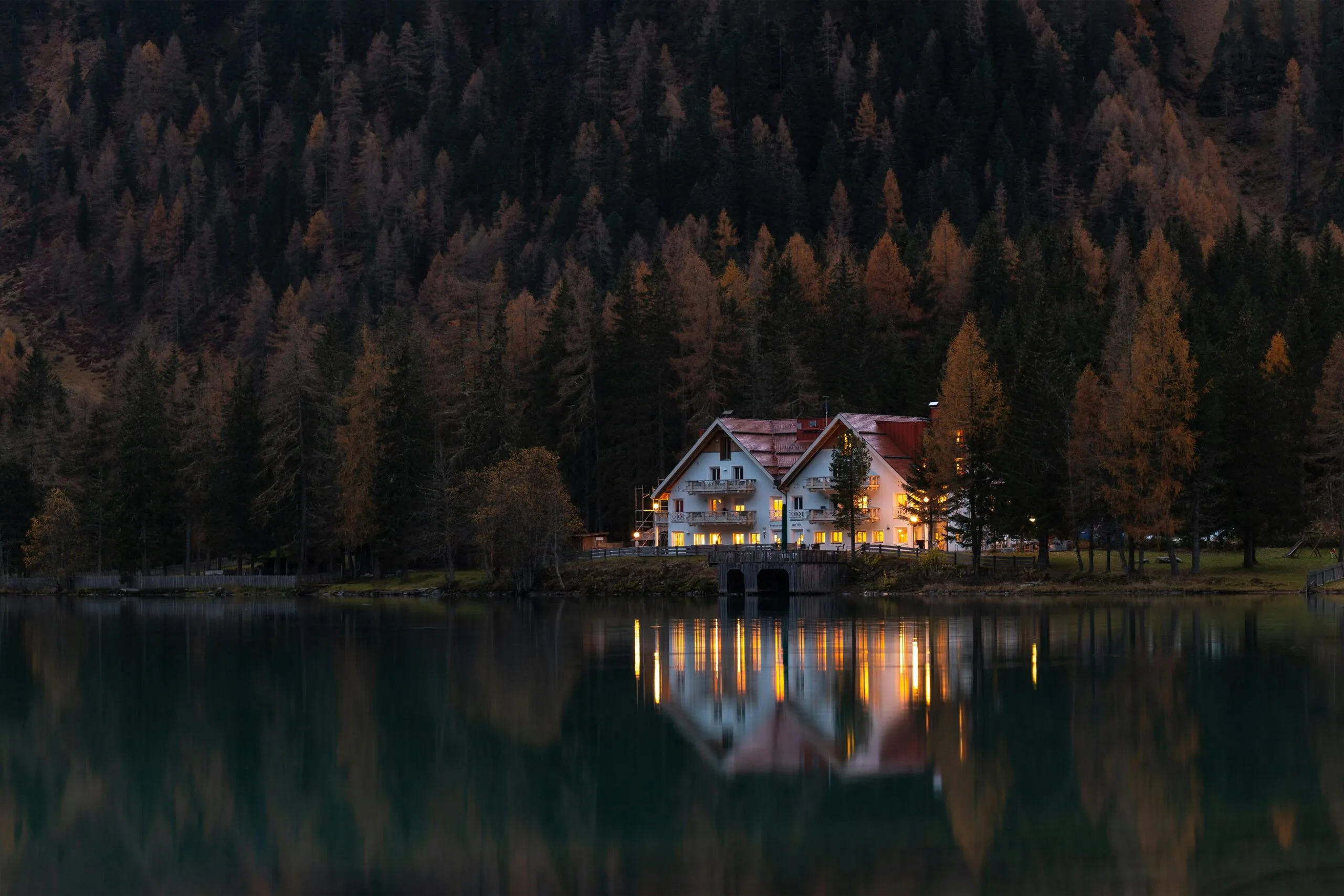 pexels-eberhardgross-1612351-scaled pexels-eberhardgross